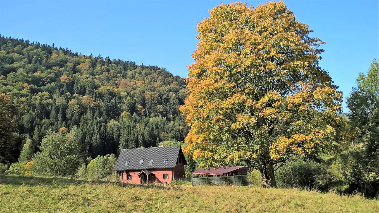 Krolikowka Stronie Śląskie Extérieur photo