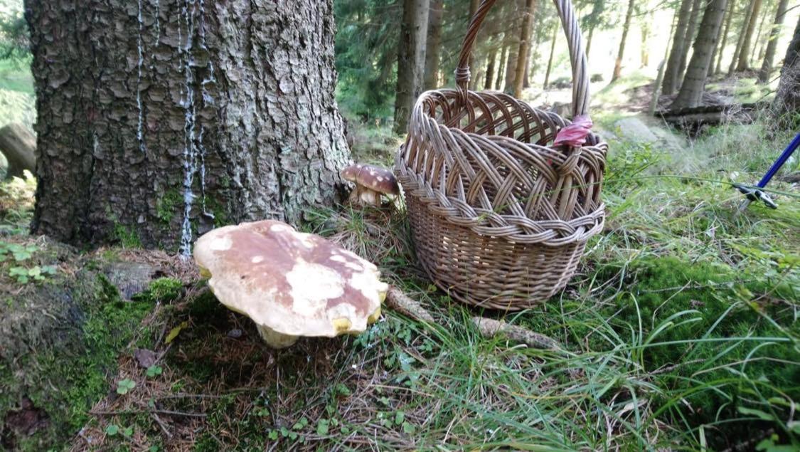 Krolikowka Stronie Śląskie Extérieur photo