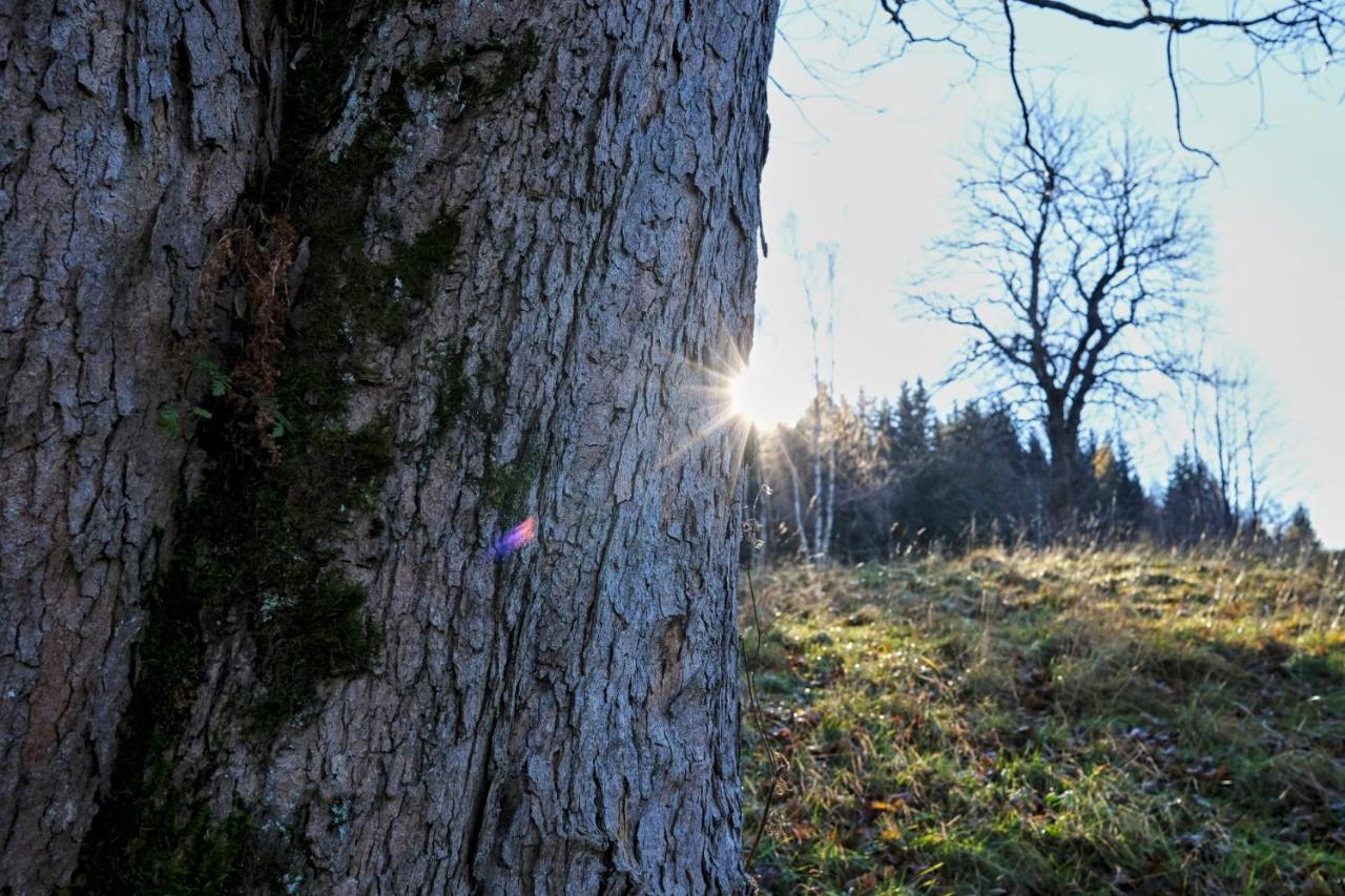 Krolikowka Stronie Śląskie Extérieur photo